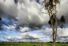 乌拉圭2022世界杯阵容,老炮压阵+新星崛起,能否续写荣光?